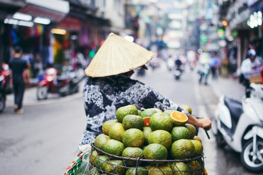 city-life-in-street-of-old-quarter-in-hanoi-fruit-seller-in-traditional-conical-hat-selective-focus_t20_yXXNKp (1)